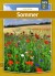 Sommer - Bog