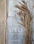 Spelt - Bog