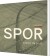 Spor - Bog