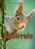 Squirrels - English Book