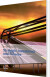 Strategic Investment And Finance - Bog