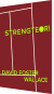 Strengteori