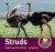Struds - Fagfilur - Bog