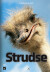 Strudse - Bog