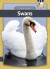 Swans - English Book
