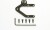 Ta05 Carbon Center Plate - 53904 - Tamiya