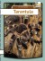 Tarantula - English Book
