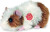 Teddy Hermann - Marsvin Bamse - Gylden Og Hvid - 18 Cm