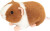 Teddy Hermann - Marsvin Lysebrun-Hvid 19 Cm