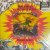 Teenage Gizzard - Vinyl Lp