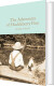 The Adventures Of Huckleberry Finn - Collector S Library - English Book