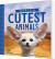 The World S Cutest Animals 100 Outrageously Adorable Cuties - Lonely Planet - English Book
