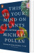 This Is Your Mind On Plants Opium-Caffeine-Mescaline - English Book