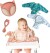 Tidy Tot Ultimate Baby Led Weaning Kit - 3 Hagesmækker