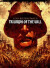 Triumph Of The Will - DVD