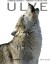 Ulve - Bog