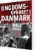 Ungdomsoprøret I Danmark - Bog