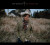 Ron Sexsmith - Vivian Line - CD