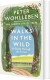 Walks In The Wild A Guide Through The Forest - English Book