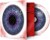 Nick Mason Rick Fenn - White Of The Eye - CD