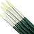Winsor Newton - Winton Brush Long Handle - Malerpensler 5 Stk