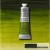 Winsor Newton - Winton Oil Colour 37 Ml - Sap Green 599