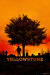 Yellowstone - Boks - Blu-Ray
