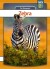 Zebra - Bog