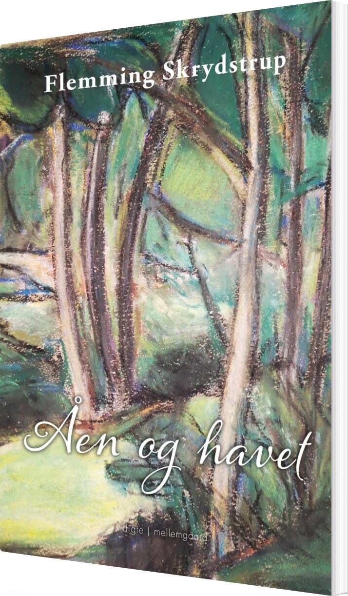 Billede af åen Og Havet - Flemming Skrydstrup - Bog