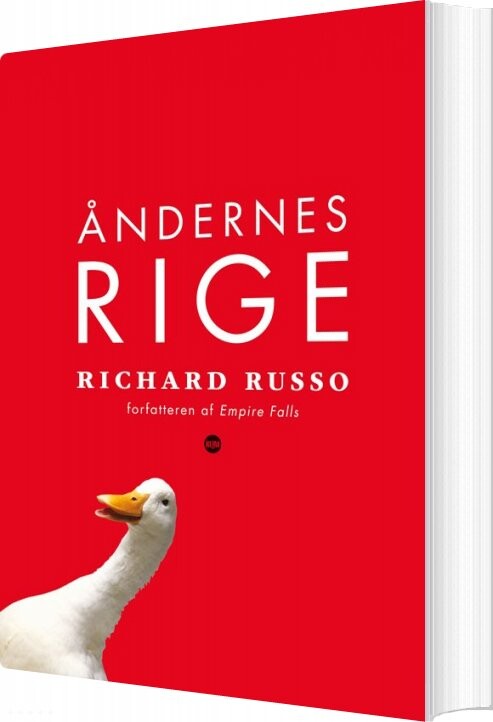 Billede af åndernes Rige - Richard - Bog