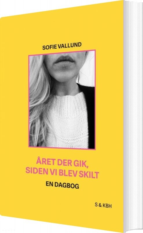 Billede af året Der Gik, Siden Vi Blev Skilt - Sofie Vallund - Bog