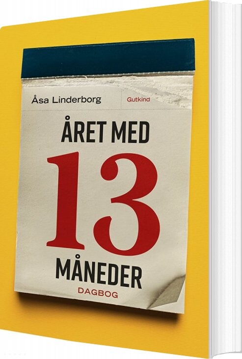 Billede af året Med 13 Måneder - åsa Linderborg - Bog