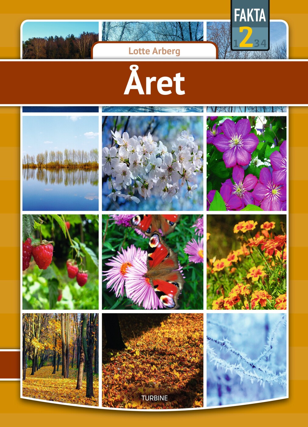 Billede af året - Lotte Arberg - Bog