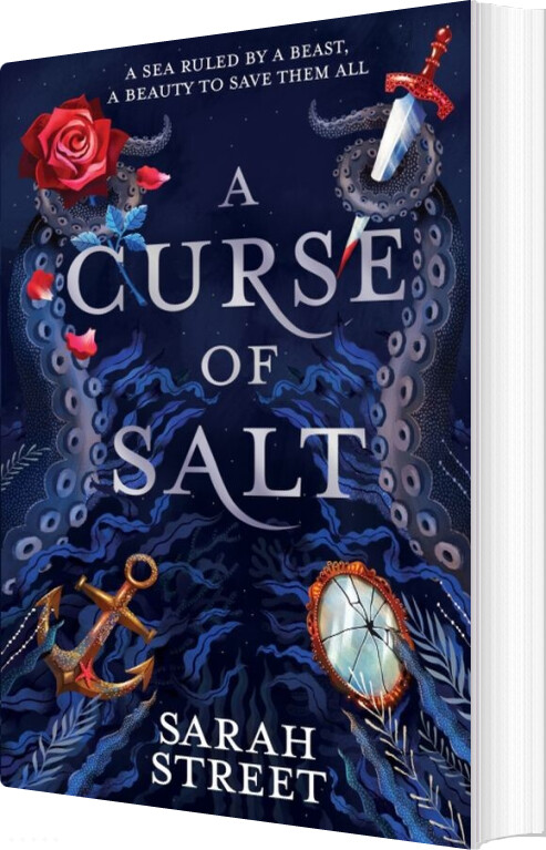 A Curse Of Salt - Sarah Street - English Book