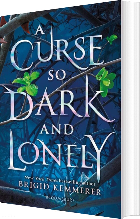 A Curse So Dark And Lonely - Brigid Kemmerer - English Book