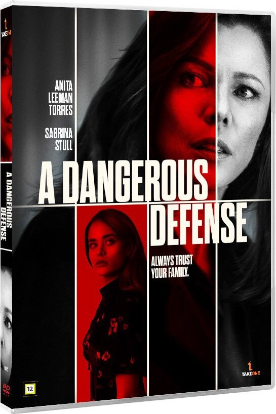 A Dangerous Defense - DVD - Film