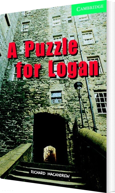 Billede af A Puzzle For Logan - Richard Macandrew - Bog