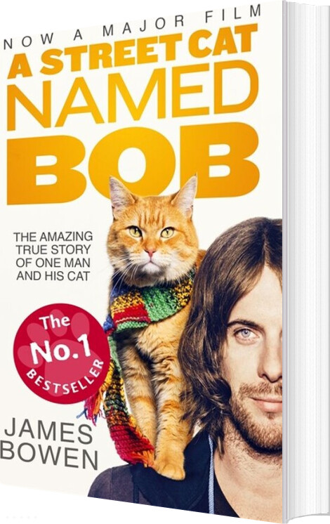 Billede af A Street Cat Named Bob - James Bowen - English Book