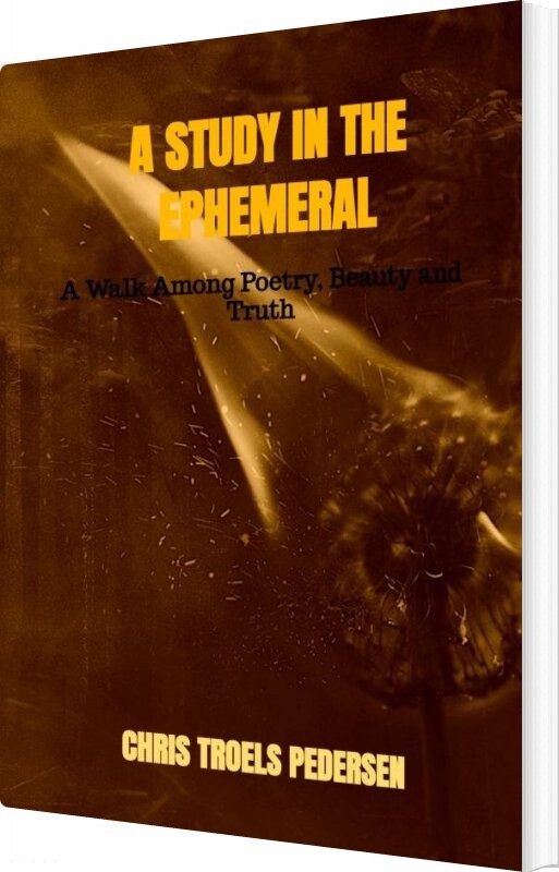 Billede af A Study In The Ephemeral - Chris Troels Pedersen - English Book