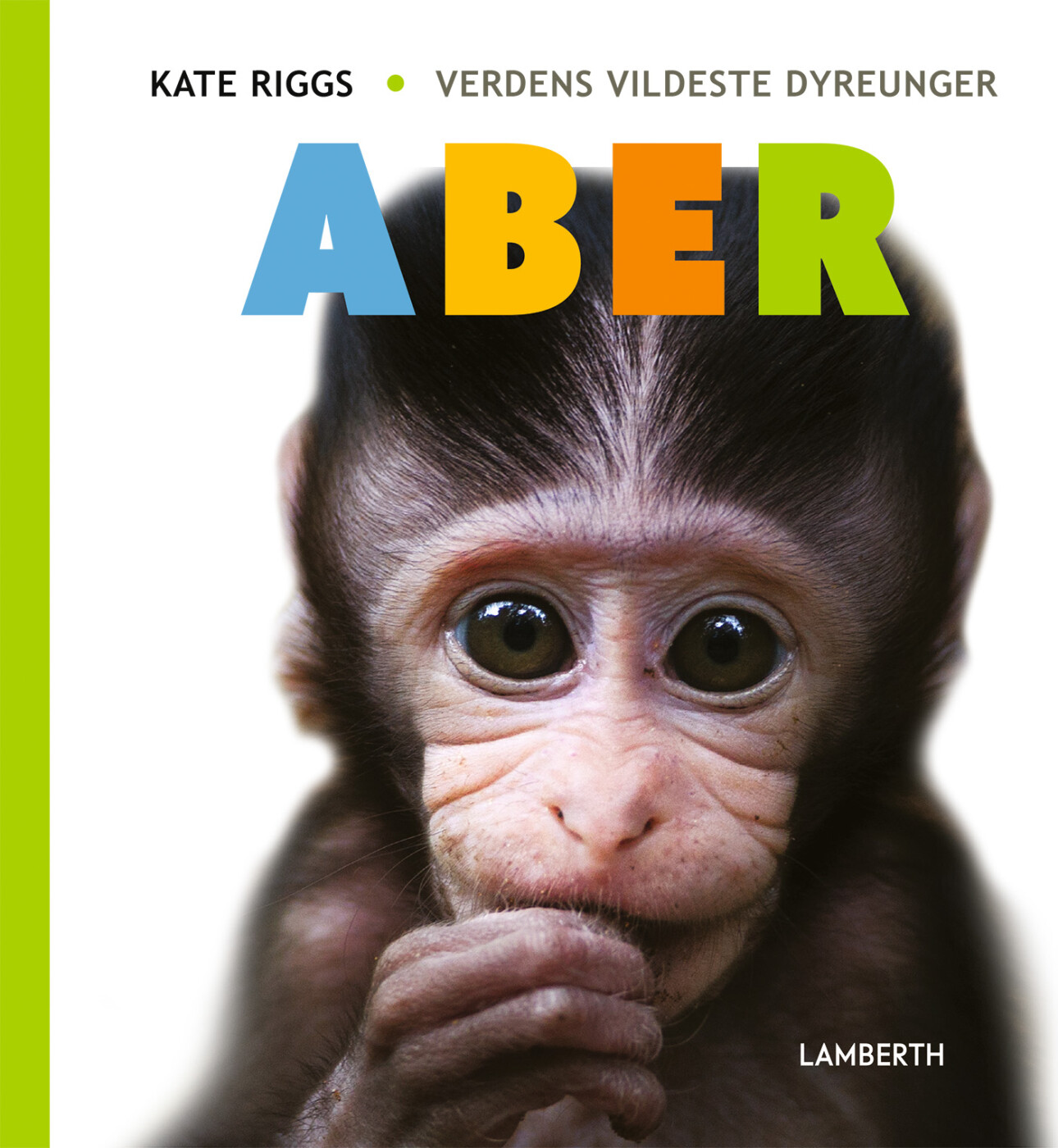 Aber - Kate Riggs - Bog