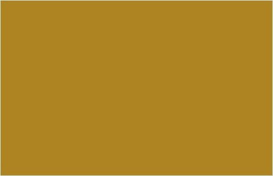 Liquitex - Spraymaling - Bronze Yellow 400 Ml