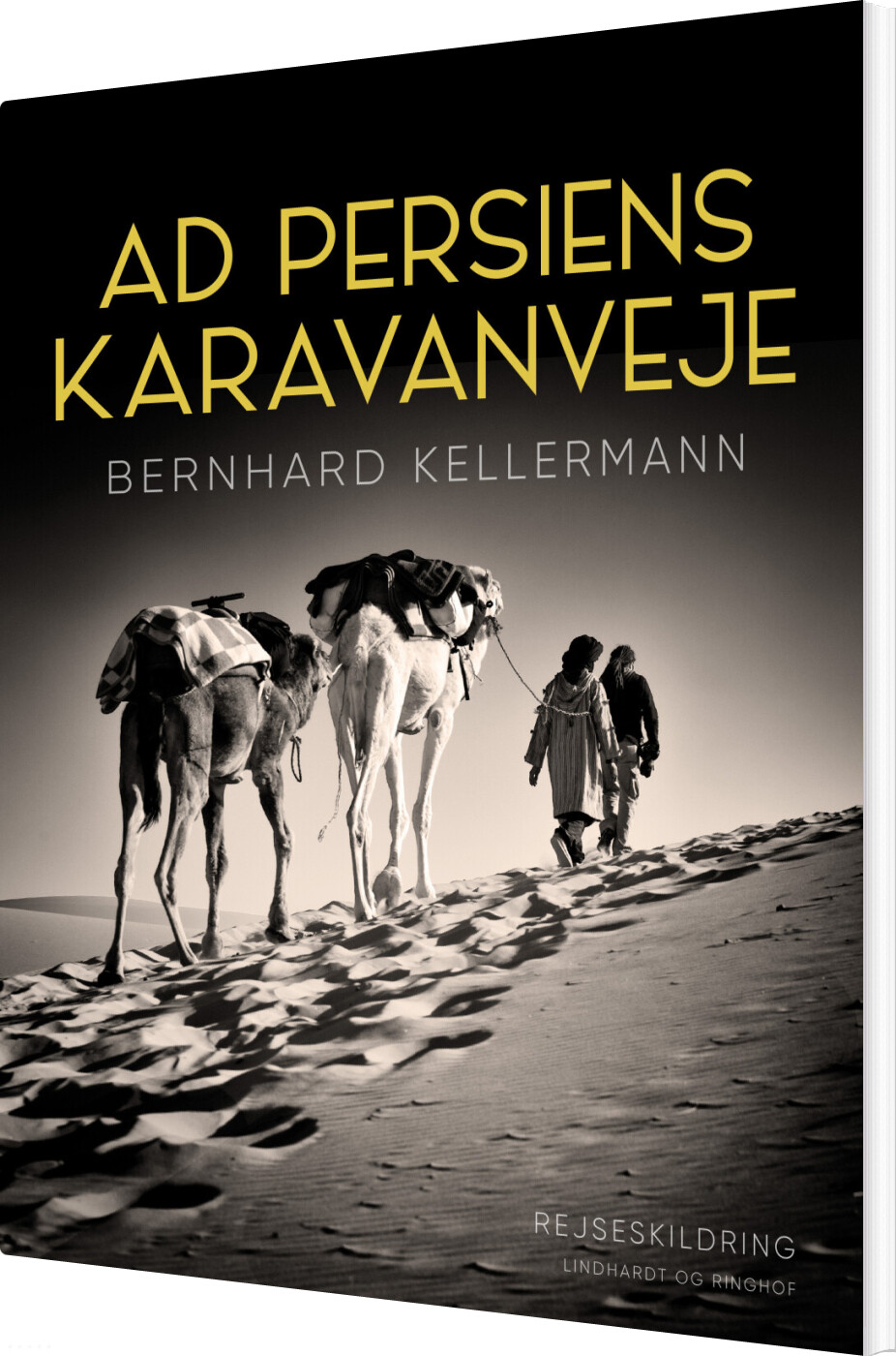 Ad Persiens Karavanveje - Bernhard Kellermann - Bog