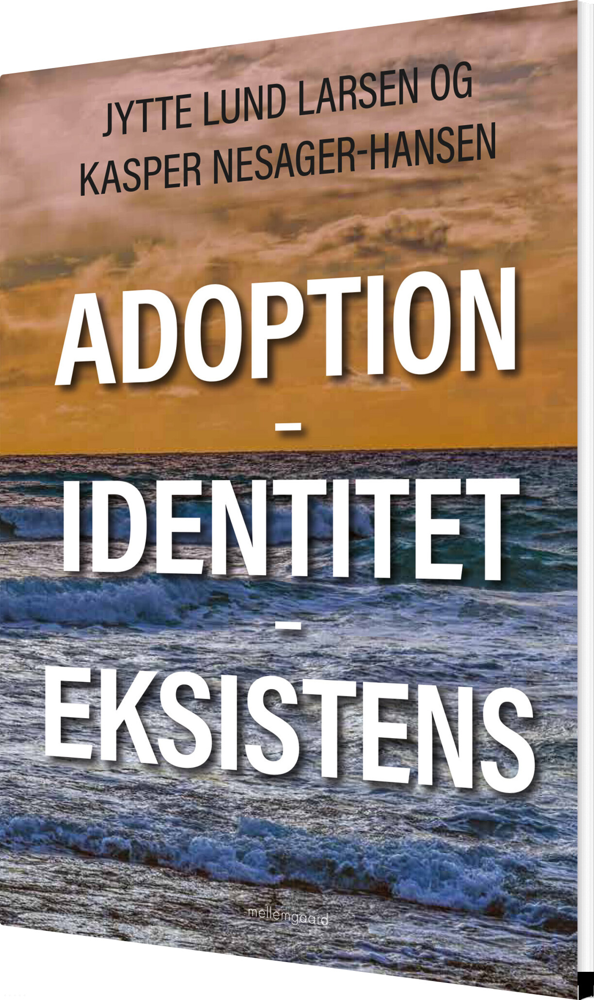 Adoption - Identitet - Eksistens - Jytte Lund Larsen - Bog