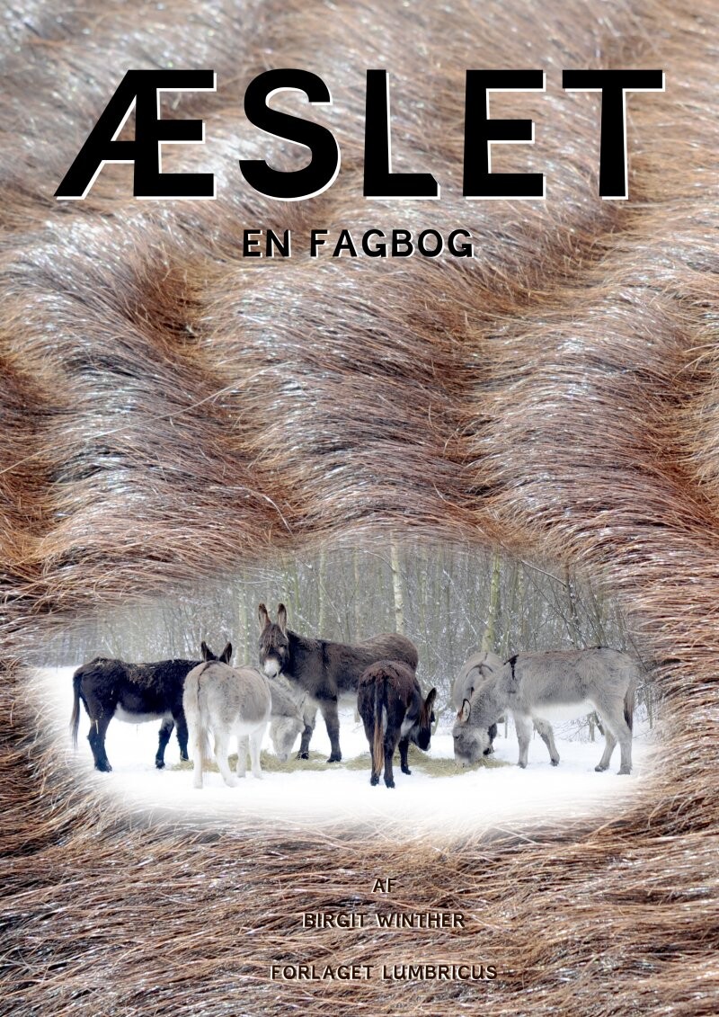 Billede af æslet - En Fagbog - Birgit Winther - Bog
