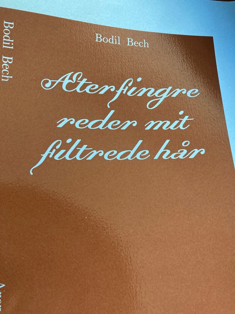 Billede af æterfingre Reder Mit Filtrede Hår - Bodil Bech - Bog