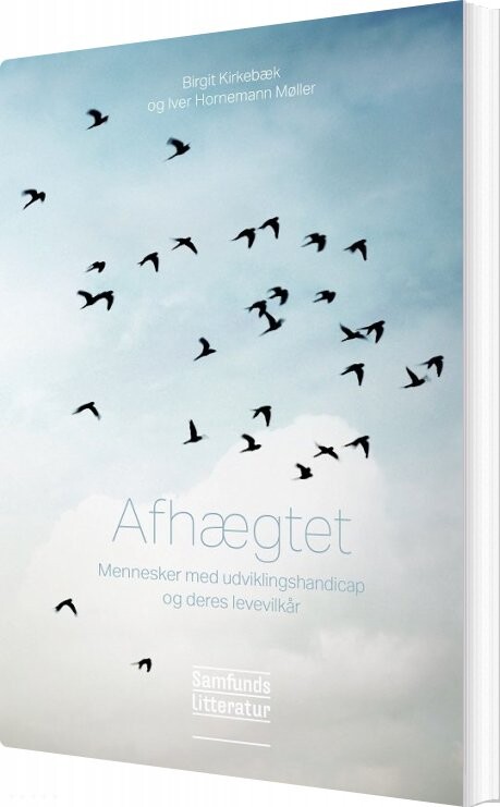 Billede af Afhægtet - Birgit Kirkebæk - Bog