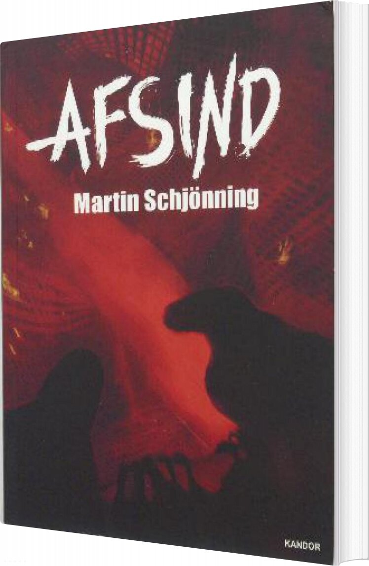 Afsind - Martin Schjönning - Bog