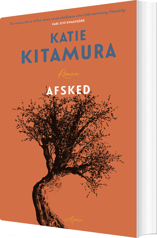 Afsked - Katie Kitamura - Bog