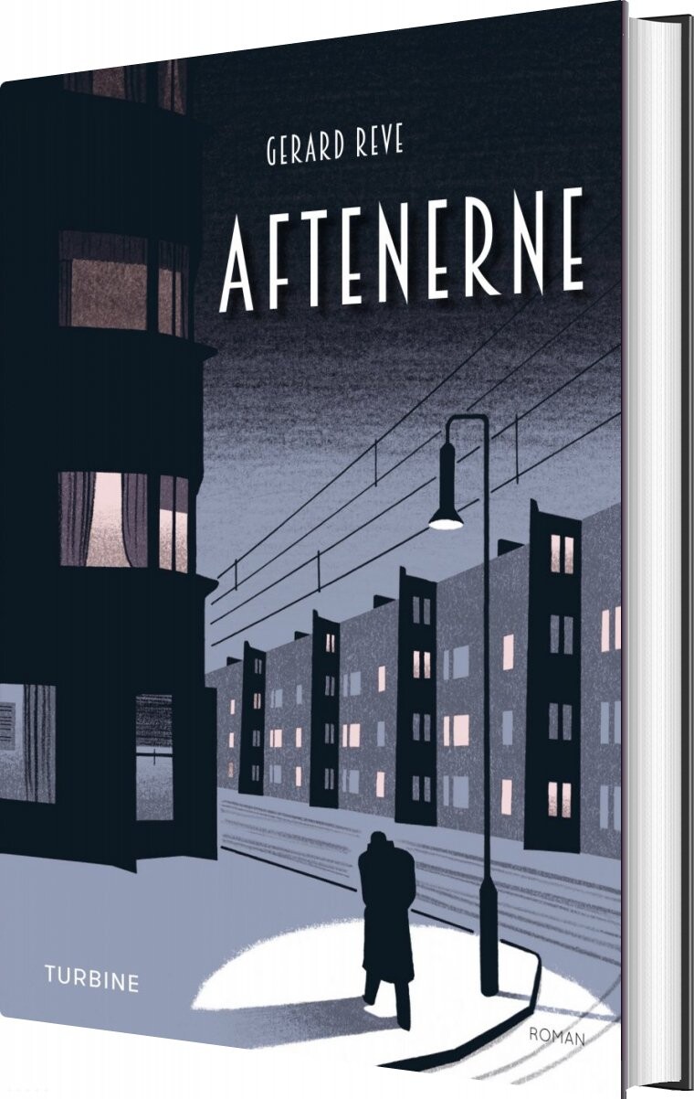 Billede af Aftenerne - Gerard Reve - Bog