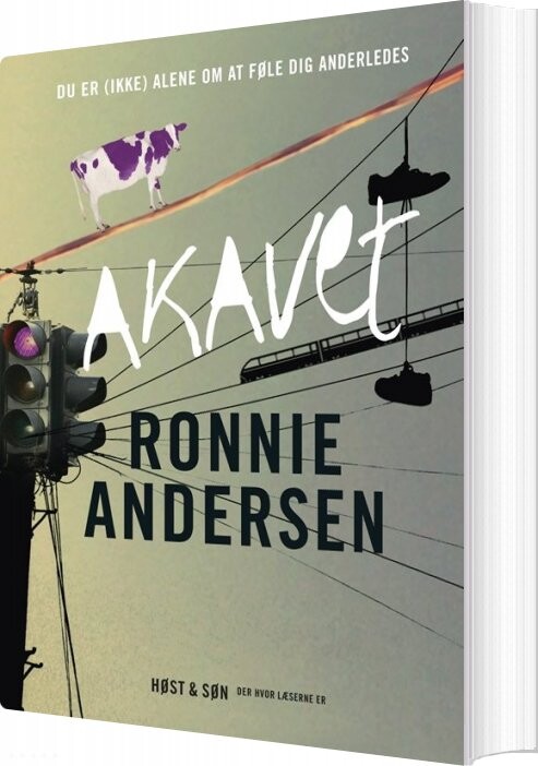 Akavet - Ronnie Andersen - Bog